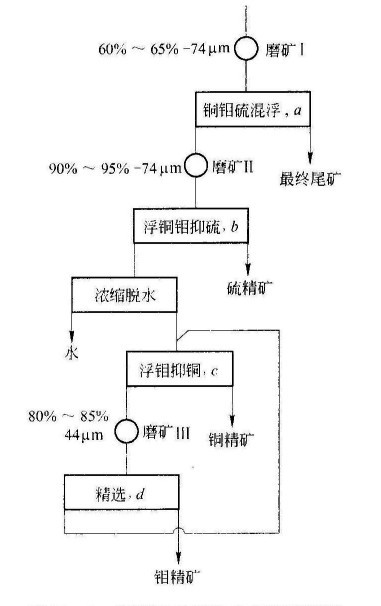 斑岩铜矿浮选工艺的特点
